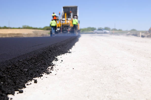 Best Driveway Paving Near Me  in Lake Summerset, IL